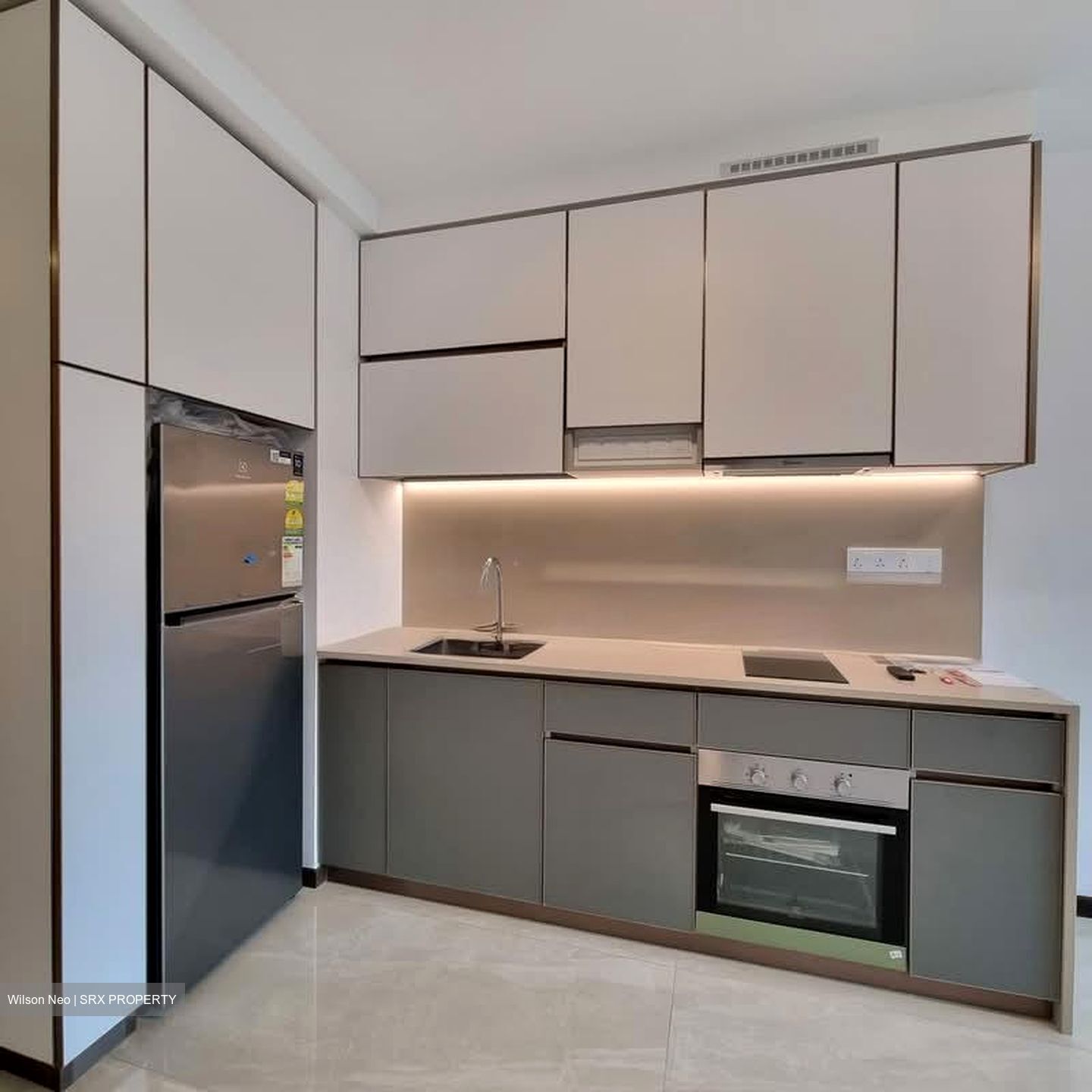Normanton Park (D5), Apartment #554058691